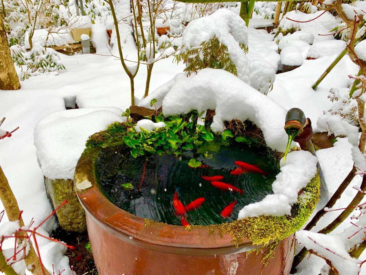 Kirishimaya Ryokan Kuszacu Kültér fotó